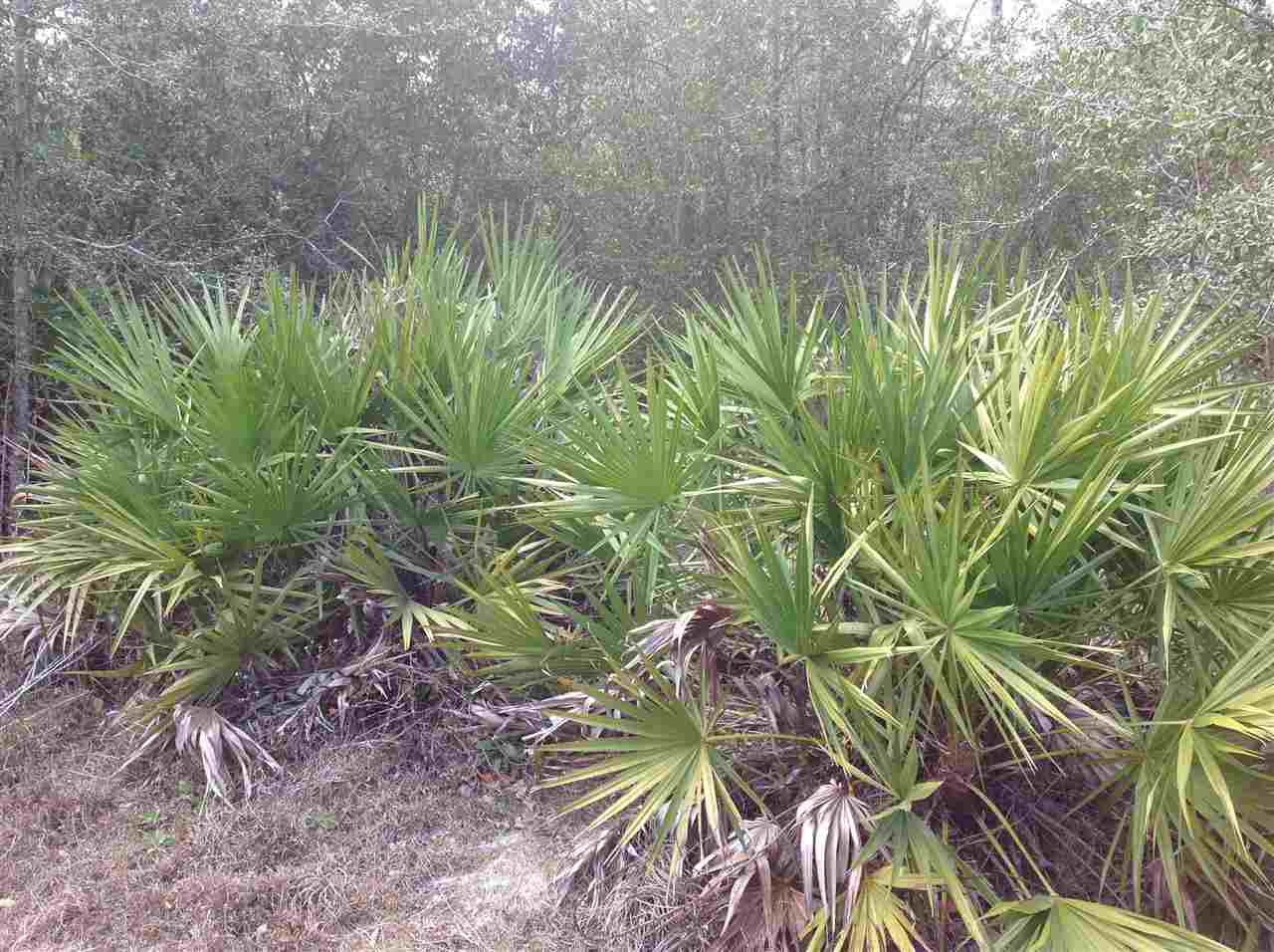 NO 911, Perry, FL 32348