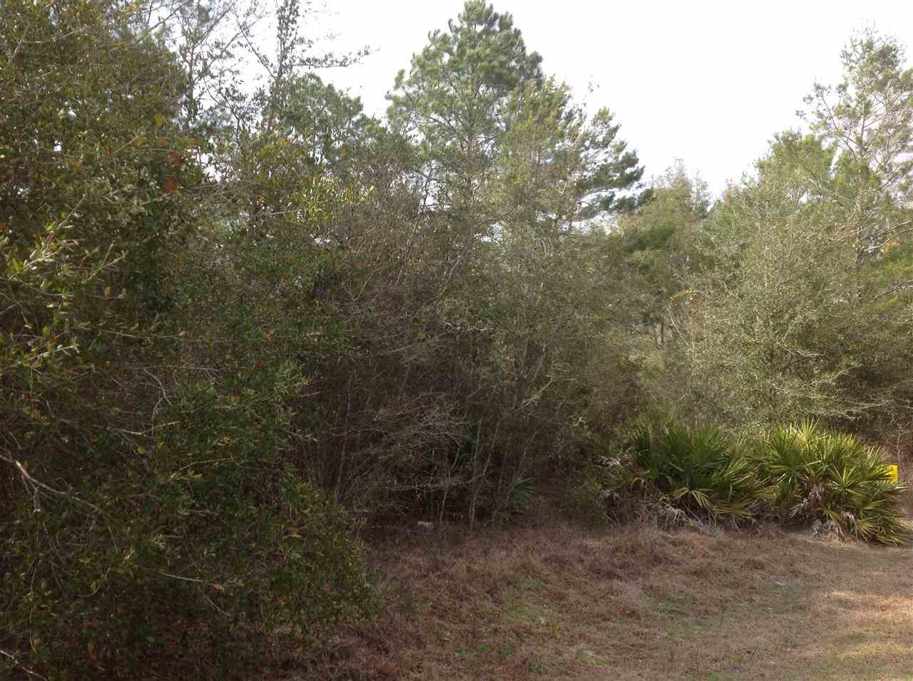 NO 911, Perry, FL 32348