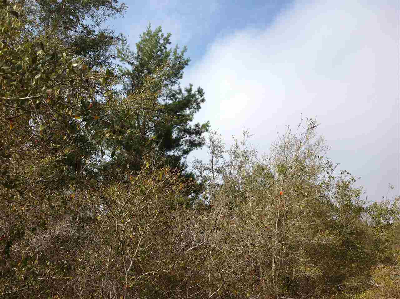 NO 911, Perry, FL 32348