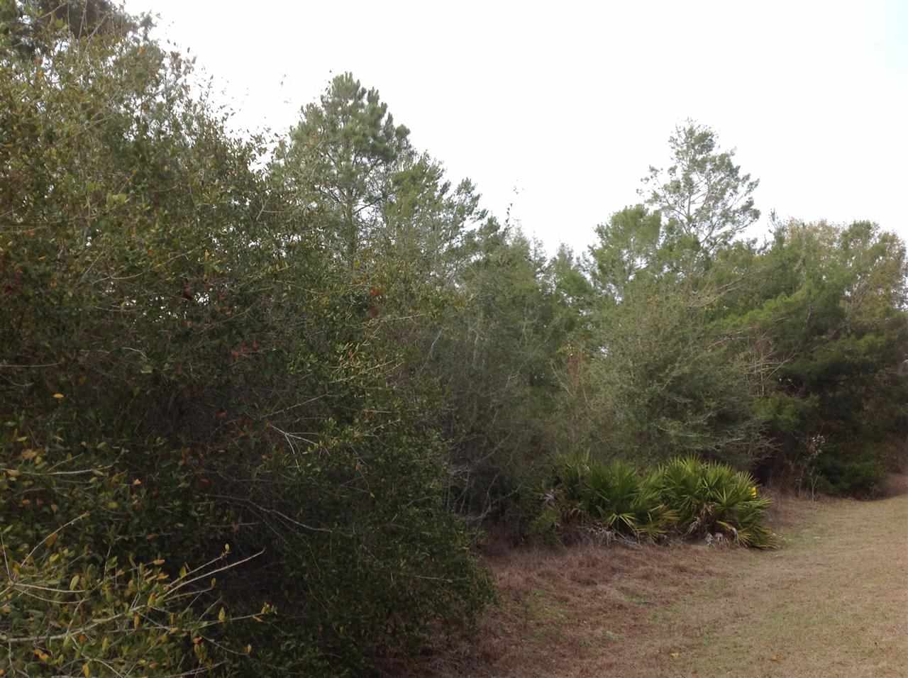 NO 911, Perry, FL 32348