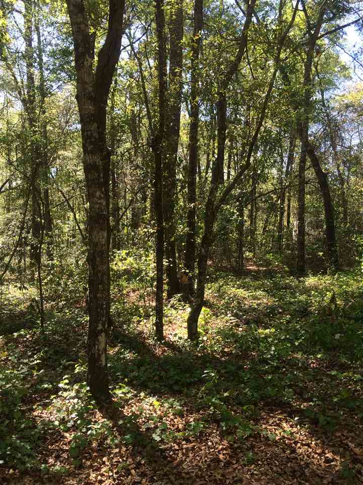 3A Talquin Hideaway, Quincy, FL 32351