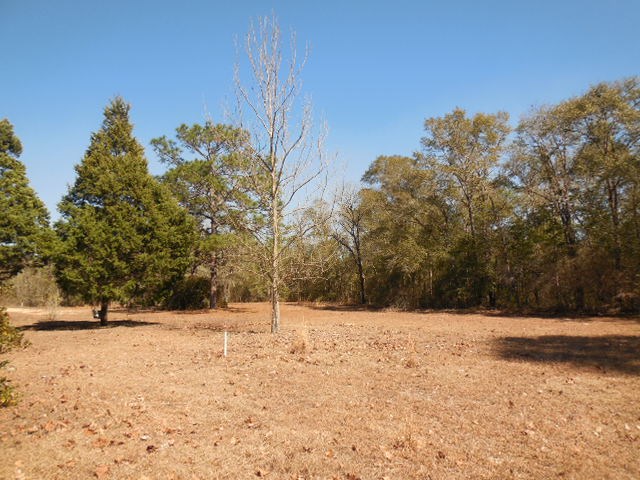 242 Shorty Edwards, Quincy, FL 32351