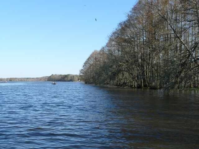 XX GILCREASE, Quincy, FL 32351