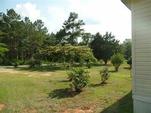 466 DAVID CLEMONS RD