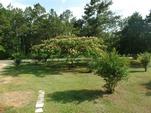 466 DAVID CLEMONS RD