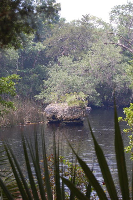 Lot 30 3rd Ave, Steinhatchee, FL 32359