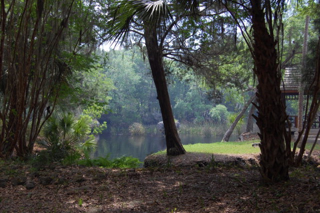 Lot 31 3rd Ave, Steinhatchee, FL 32359
