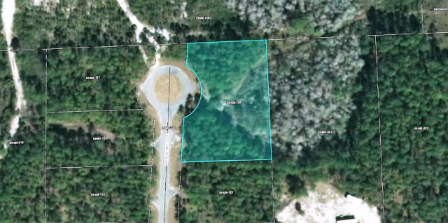 Lot 6 Steinhatchee Cove Way, Steinhatchee, FL 32359