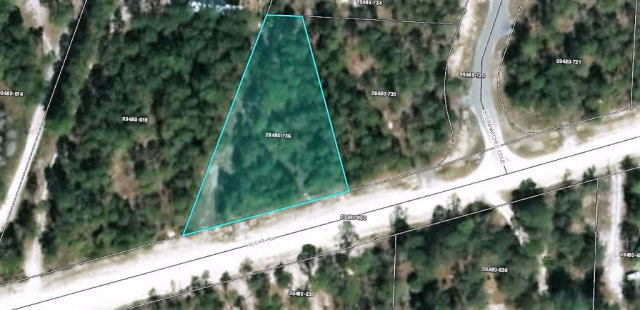 Lot 16 Sugar Hill Road, Steinhatchee, FL 32359