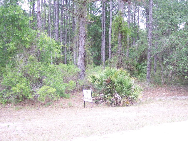 Oak Pond Circle, Steinhatchee, FL 32359
