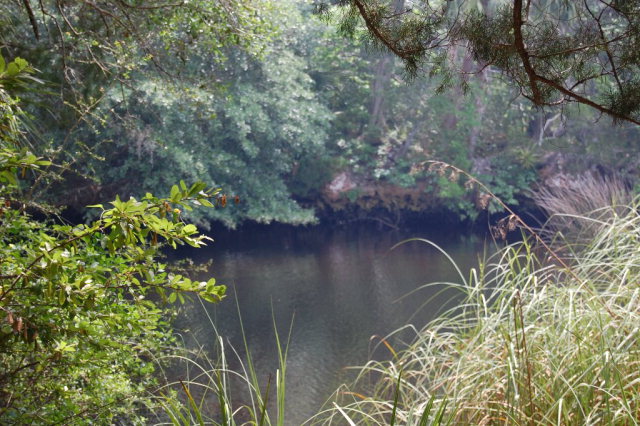 3rd Ave, Steinhatchee, FL 32359