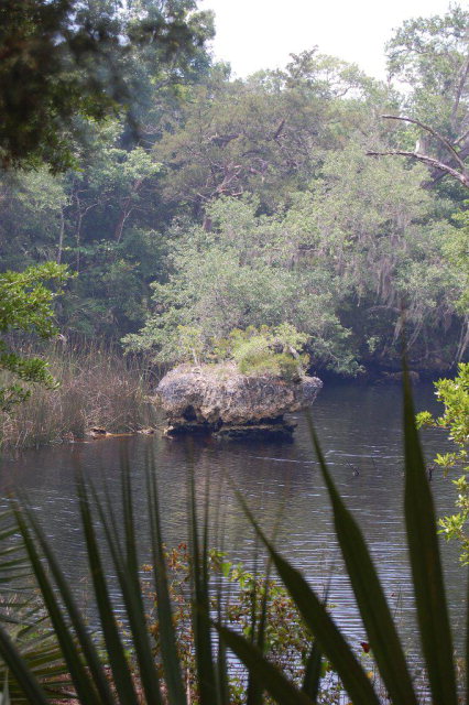 3rd Ave, Steinhatchee, FL 32359
