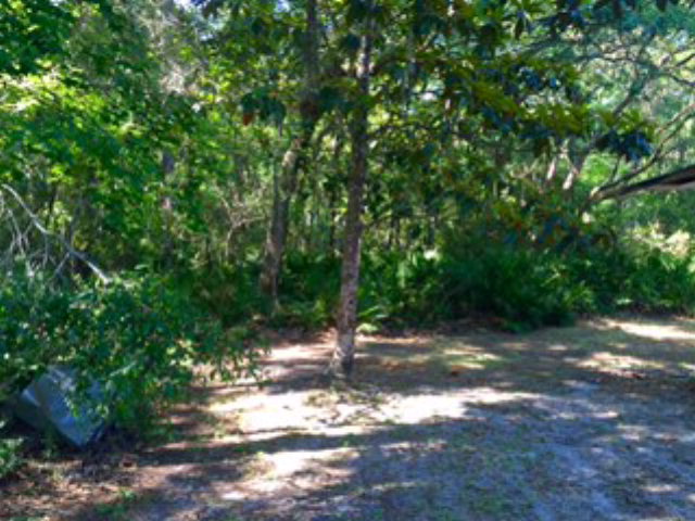 210 Main St, Steinhatchee, FL 32359