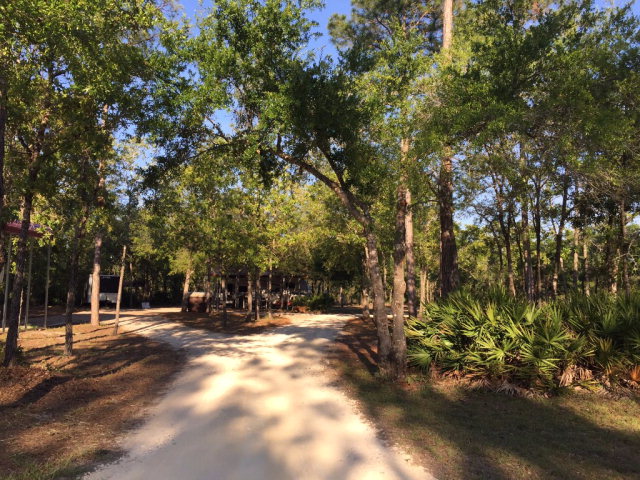 908 Bird Pond Road, Steinhatchee, FL 32359