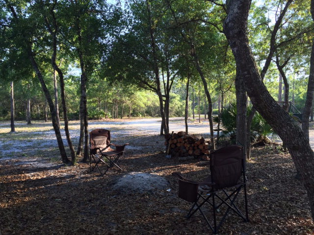 908 Bird Pond Road, Steinhatchee, FL 32359