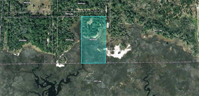 00 6th St, Steinhatchee, FL 32359