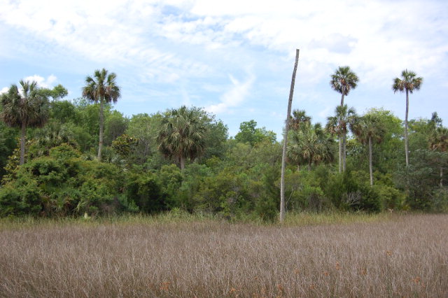 6030 County Road 358, Jena, FL 32359