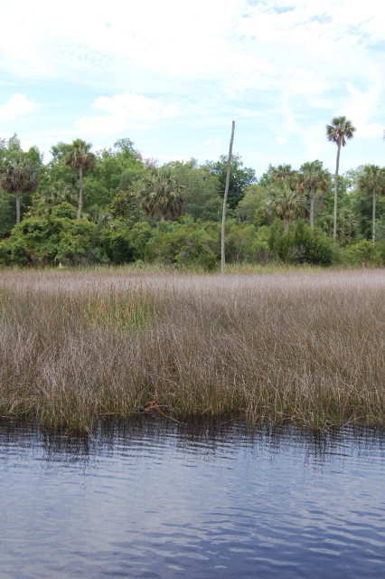 6030 County Road 358, Jena, FL 32359