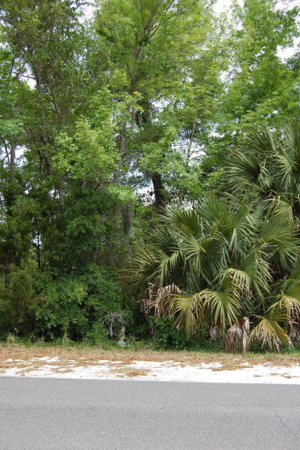 6030 County Road 358, Jena, FL 32359