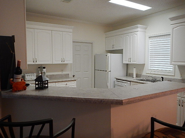 1305 Oak Pond Circle, Steinhatchee, FL 32359