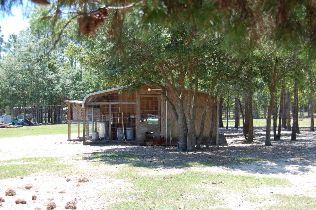 135 391st Ave, Steinhatchee, FL 32359