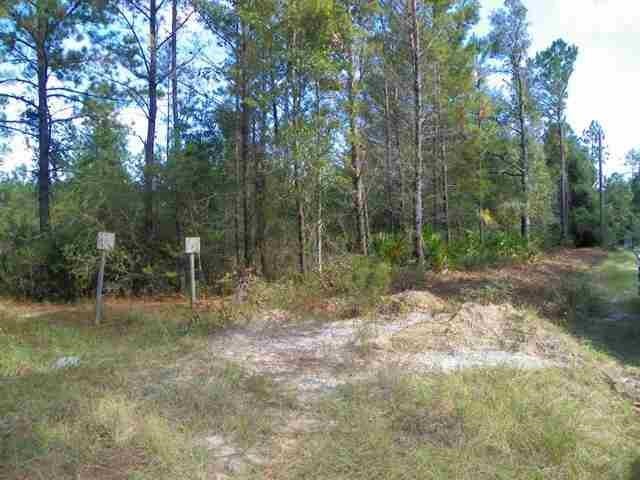 XX REGIMENT, Woodville, FL 32362