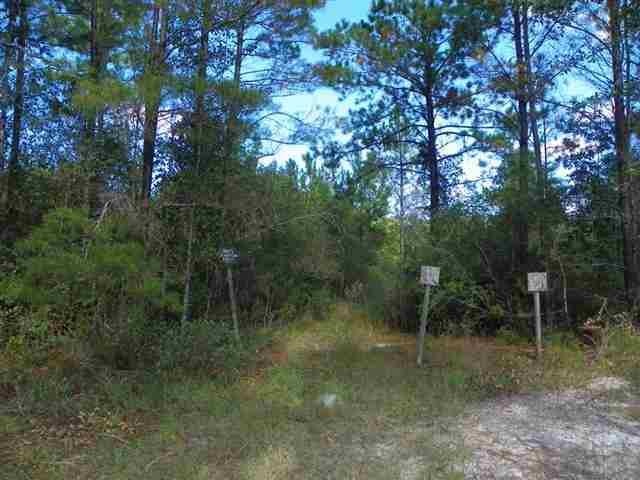 XX REGIMENT, Woodville, FL 32362