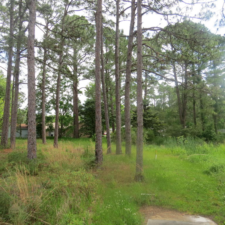 424 VIOLA, Panama City, FL 32404
