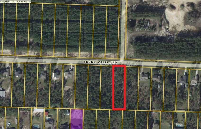 500 SKUNK VALLEY Road, Southport, FL 32409