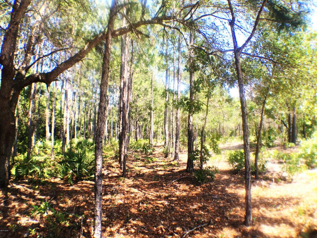1608 Dayflower Dr., Panama City Beach, FL 32413