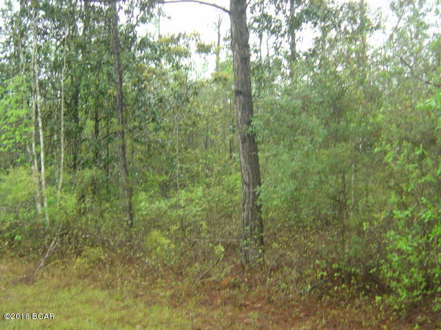 00 JASPER AVENUE, Alford, FL 32420
