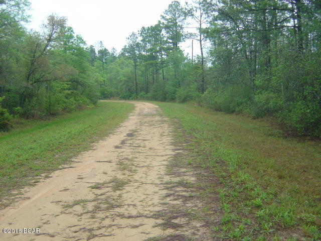 00 JASPER AVENUE, Alford, FL 32420