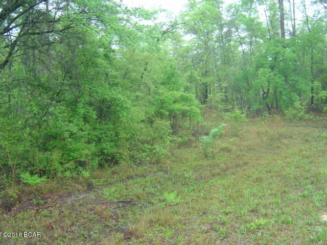 00 JASPER AVENUE, Alford, FL 32420