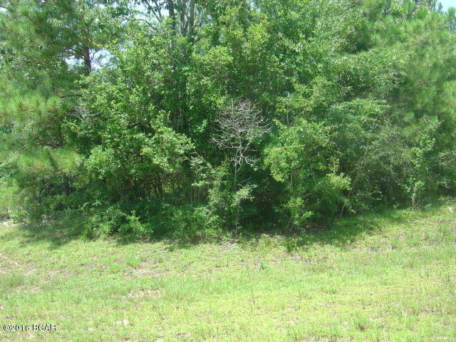 00 CARVER, Alford, FL 32420