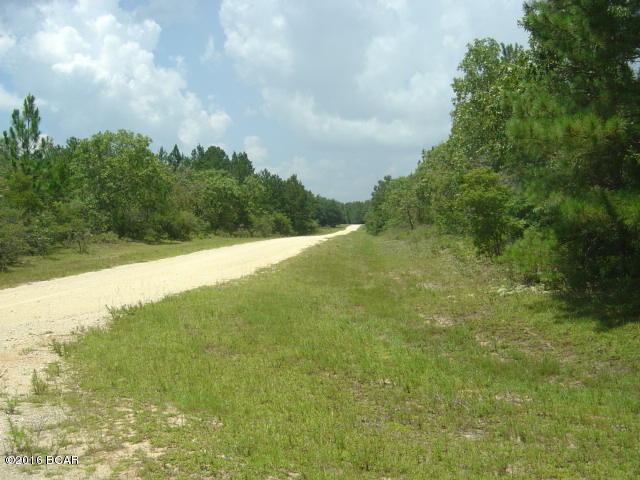 00 CARVER, Alford, FL 32420