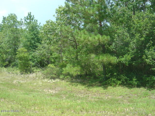 00 CARVER, Alford, FL 32420