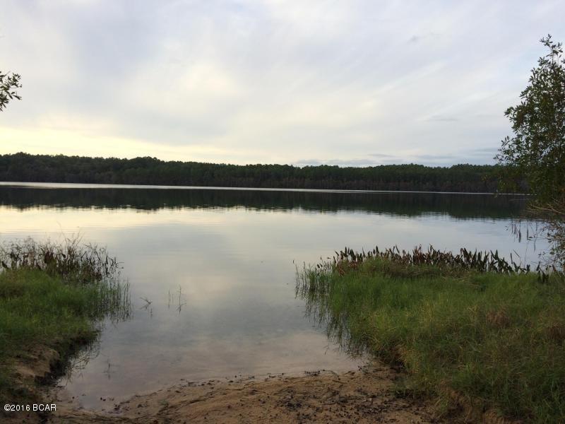 00 DANIEL Drive, Alford, FL 32420