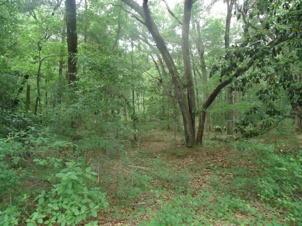 00 DANIEL Drive, Alford, FL 32420