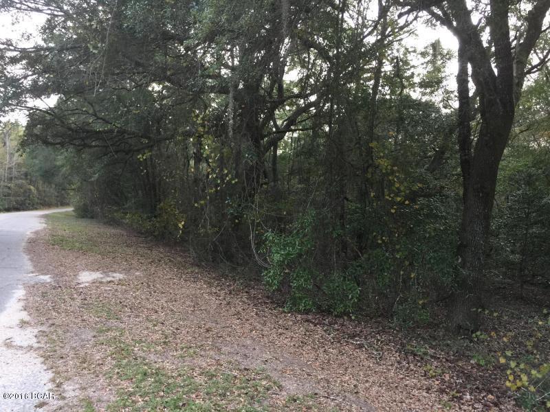 00 DANIEL Drive, Alford, FL 32420