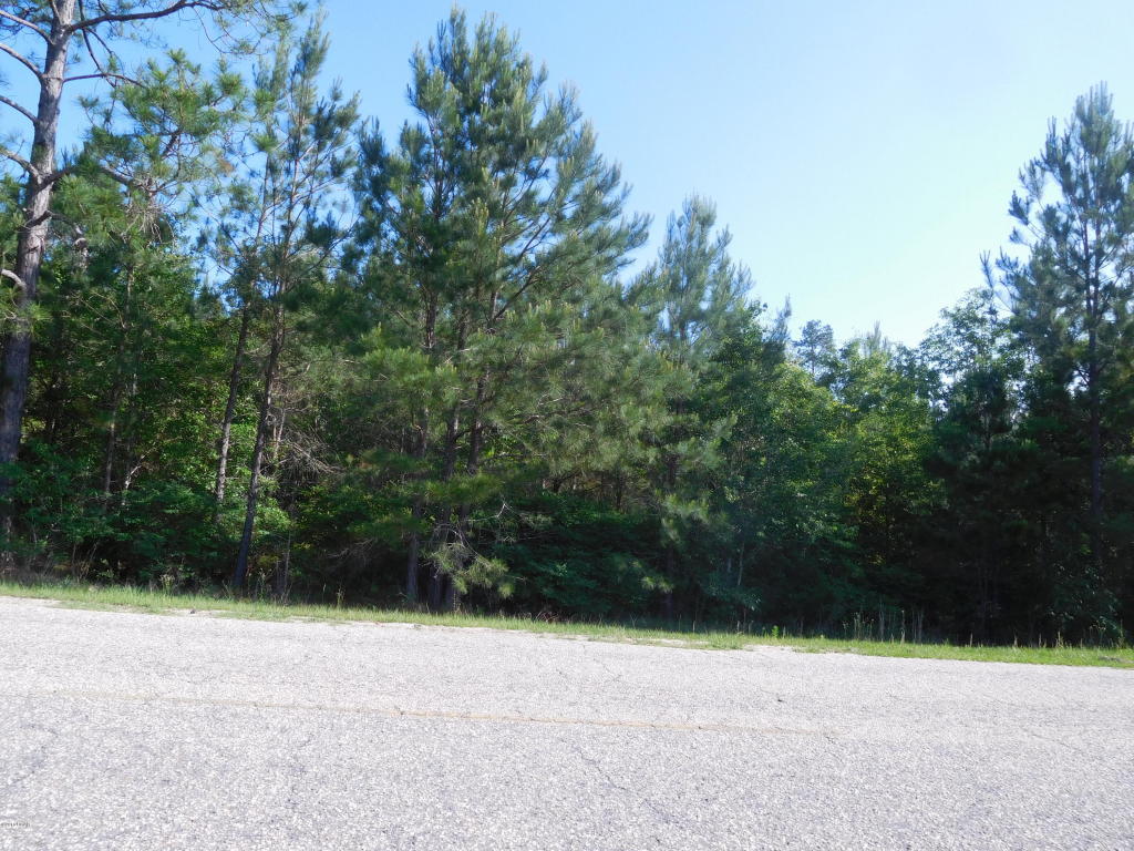 00 HWY 162, Bonifay, FL 32425