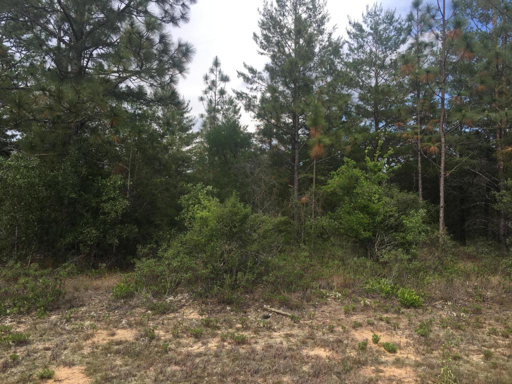 Lot 16 Gulliver Drive, Chipley, FL 32428