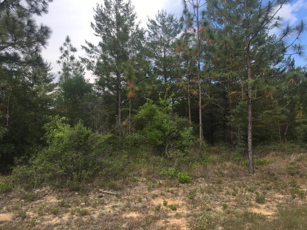 Lot 16 Gulliver Drive, Chipley, FL 32428