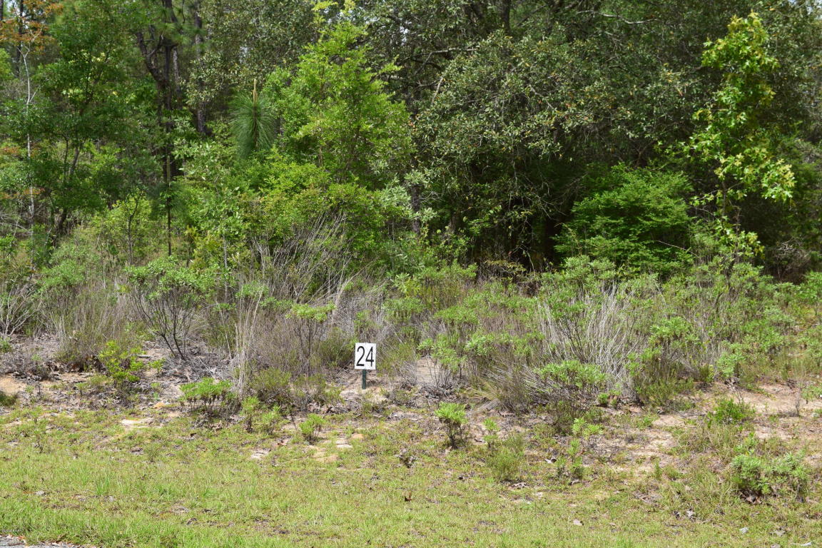 LOT 18 ARNONE Lane, Chipley, FL 32428