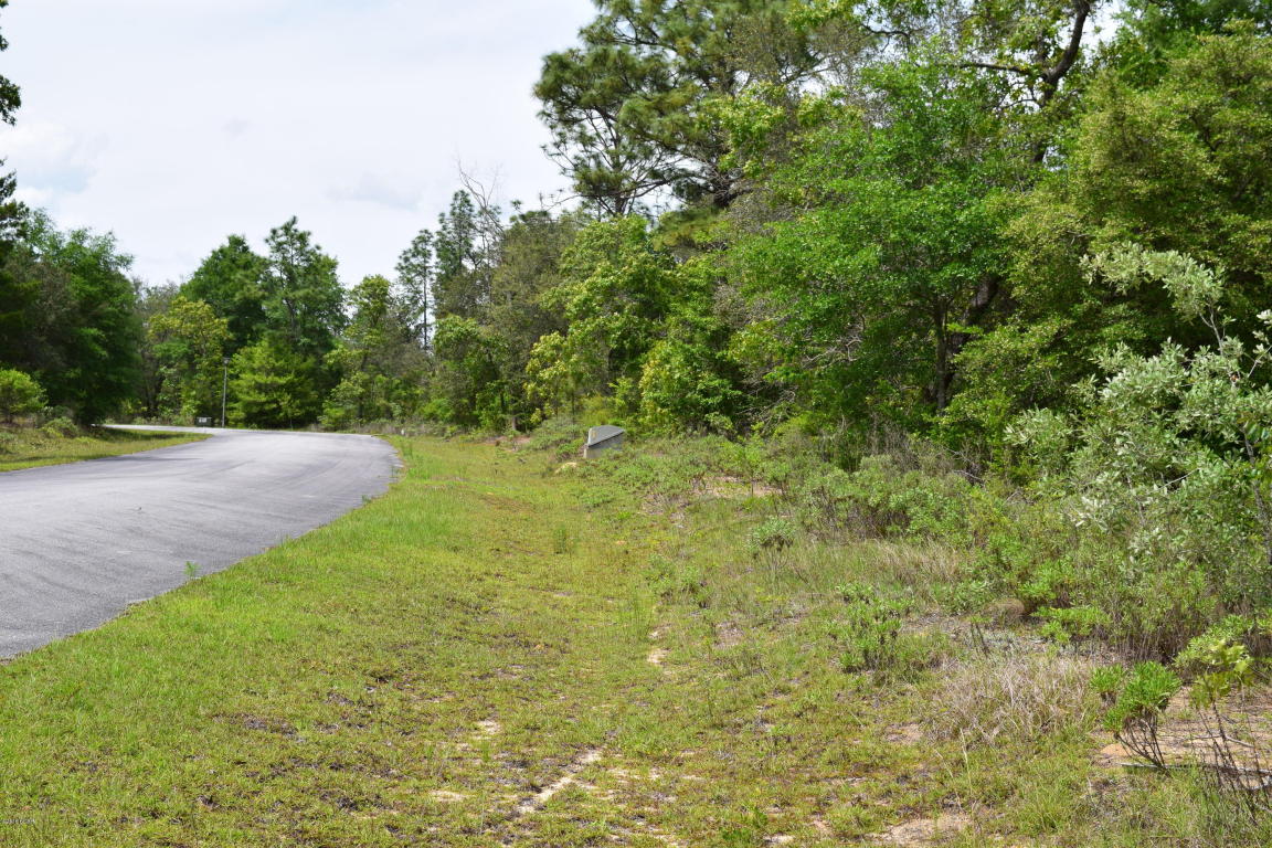 LOT 16 ARNONE Lane, Chipley, FL 32428