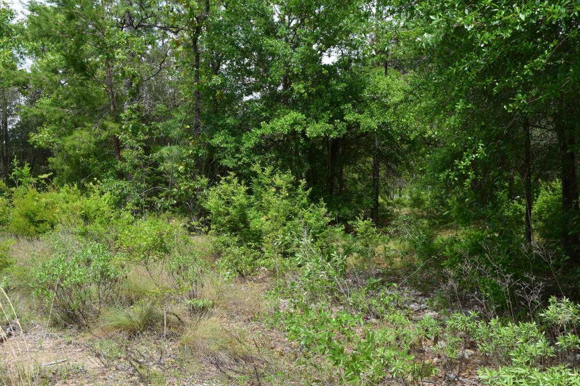 LOT 32 PENTAS Way, Chipley, FL 32428