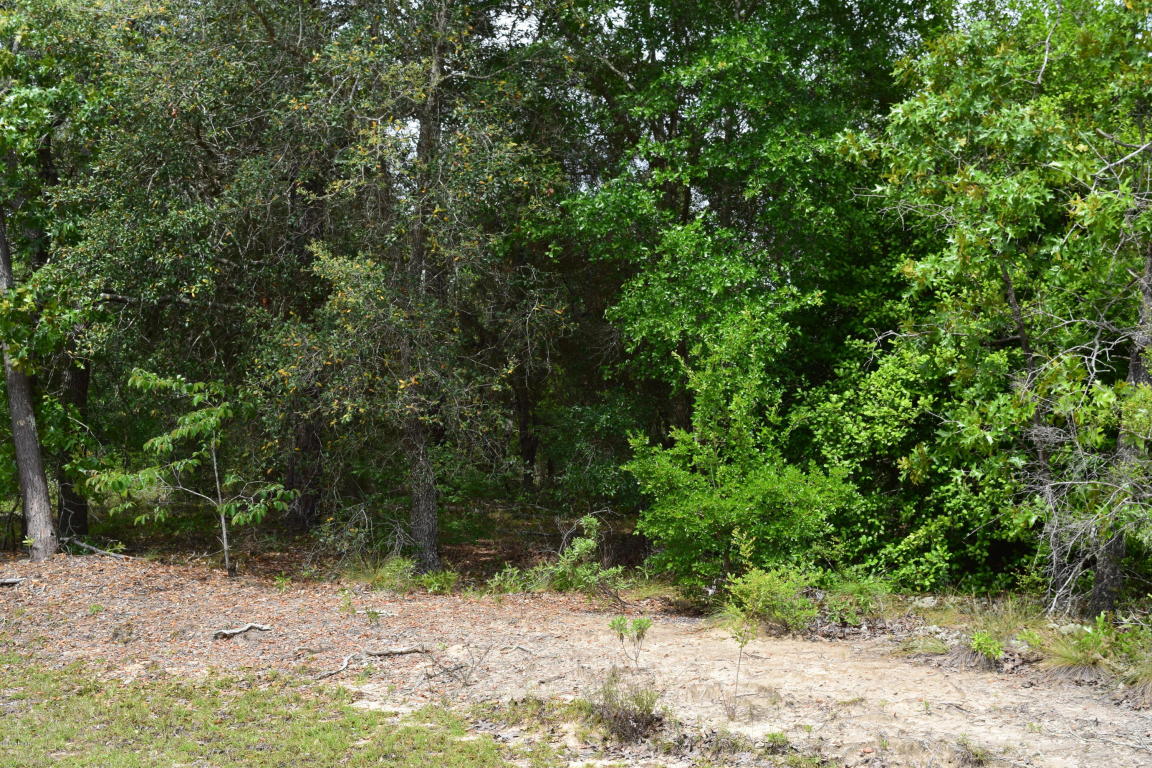 LOT 2 VILLAGE Drive, Chipley, FL 32428