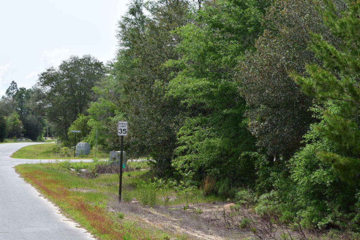 LOT 15 ARNONE Lane, Chipley, FL 32428