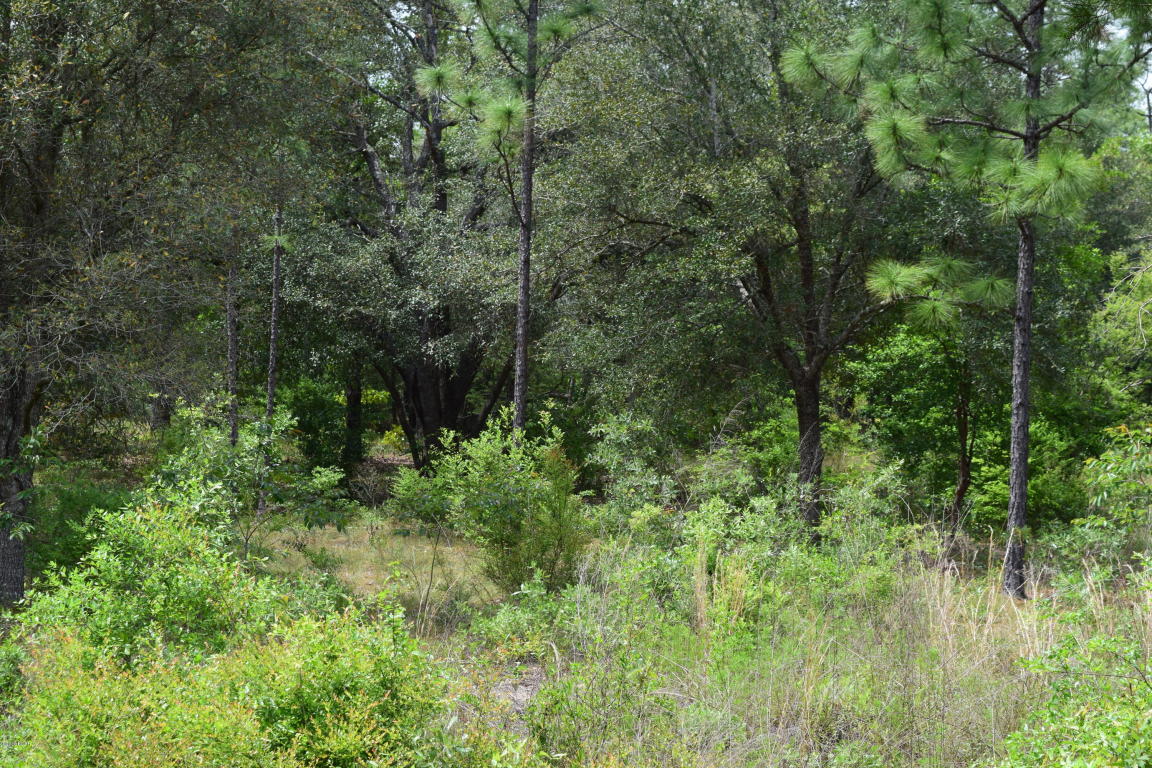 LOT 13 ARNONE Lane, Chipley, FL 32428