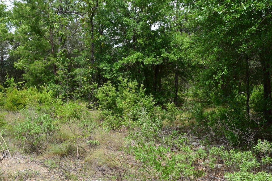 LOT 13 ARNONE Lane, Chipley, FL 32428