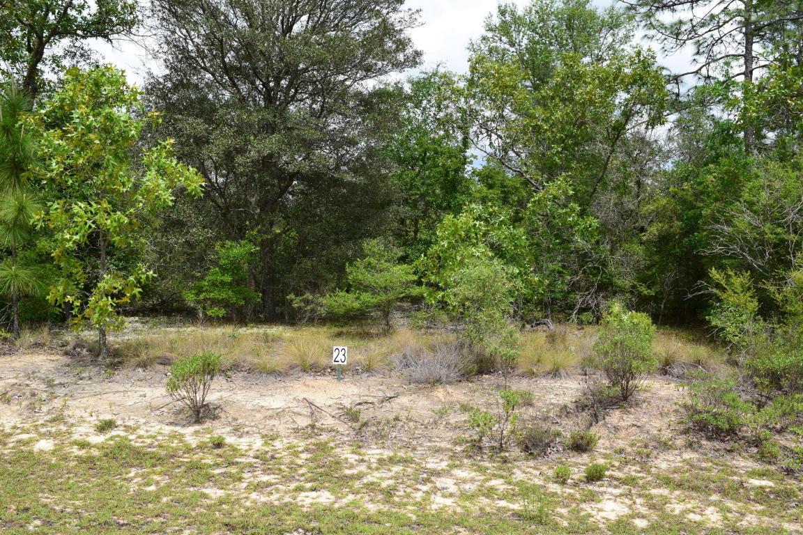 LOT 13 ARNONE Lane, Chipley, FL 32428